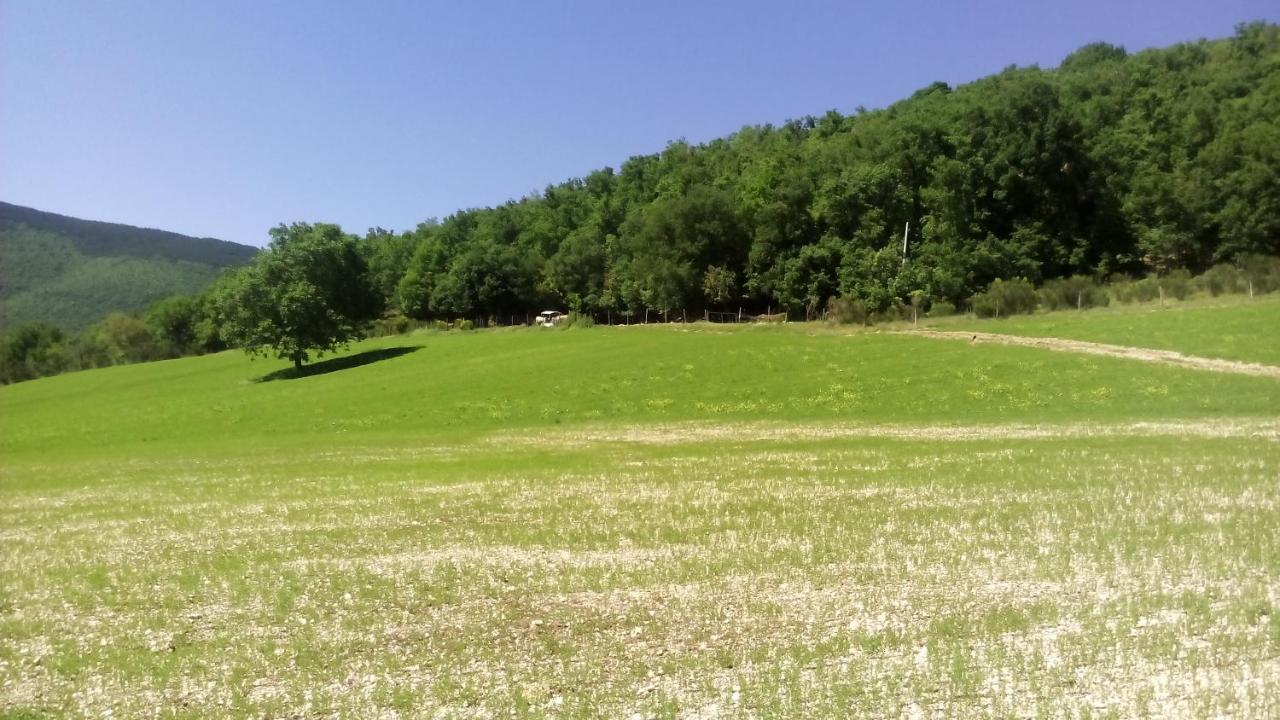 Agriturismo Il Casale Degli Amici Norcia Exterior photo
